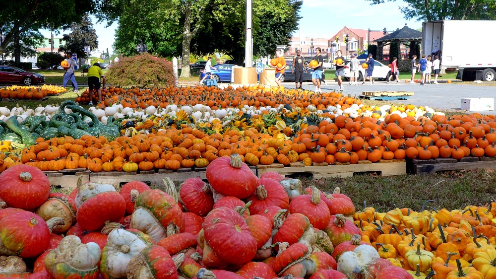 Pumpkin Patch at the Epiphany Church in Walpole, Mass.