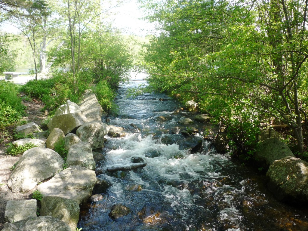 Picture of brook at Borderland State Park