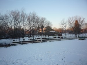 Photo of winter at Adams Farm, Cumberland, R.I.