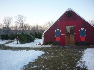 Photo of Adams Farm, Christmas, Cumberland RI
