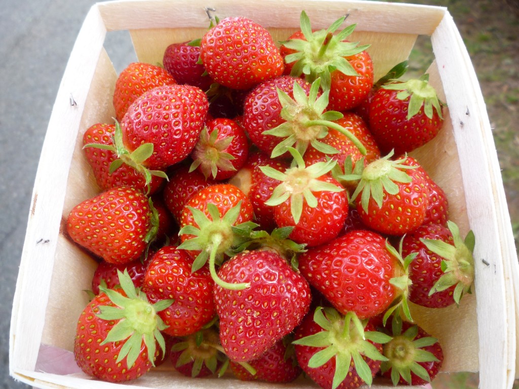 Picture of freshly-picked strawberries from Jane and Paul's Farm, Norfolk MA