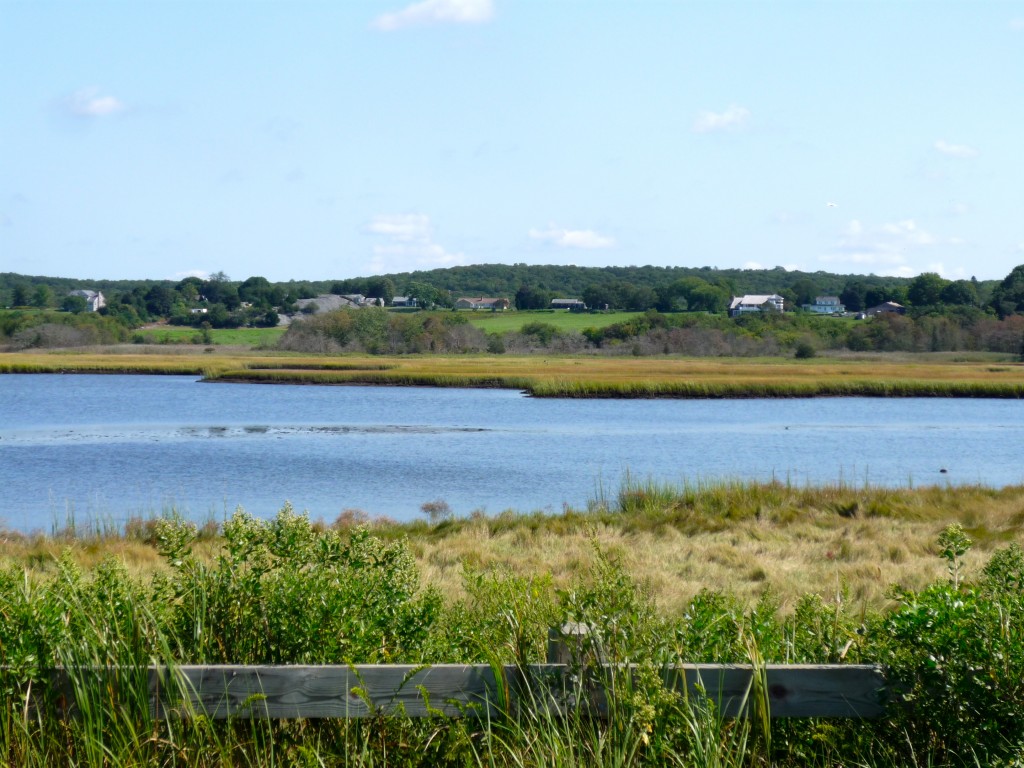 Photo of marsh, water, farm land on Seapowet Ave., Tiverton RI