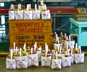 Bags of apples from Brookfield Orchards (photo by Eric)
