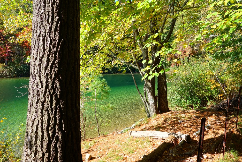 Crystal clear waters at Walden Pond in Concord, MA.