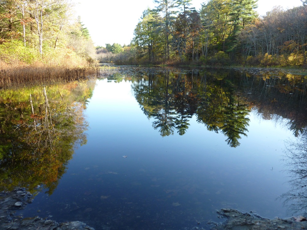 Neponset River in Walpole, Mass.