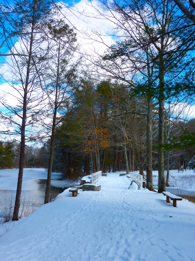 White's Bridge at the Walpole Town Forest (Walpole, Massachusetts) in the winter.