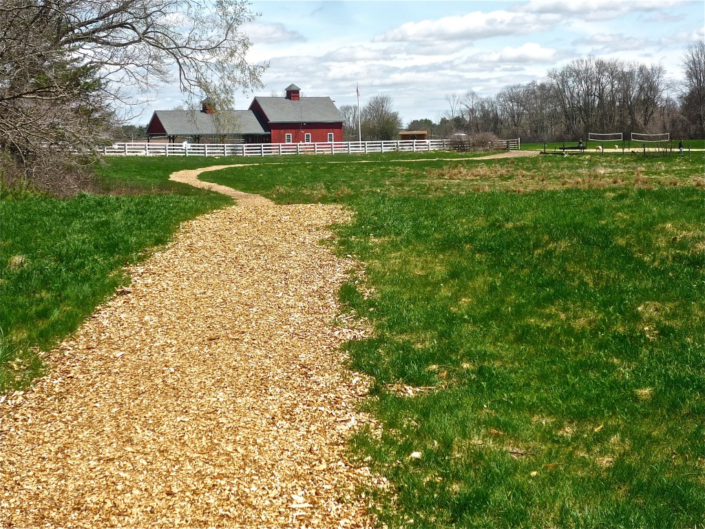 Picture of Monarch Trail at Adams Farm in Walpole, Mass.