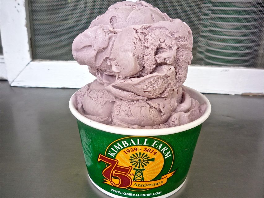 Black Raspberry ice cream from Kimball Farm, Carlisle MA