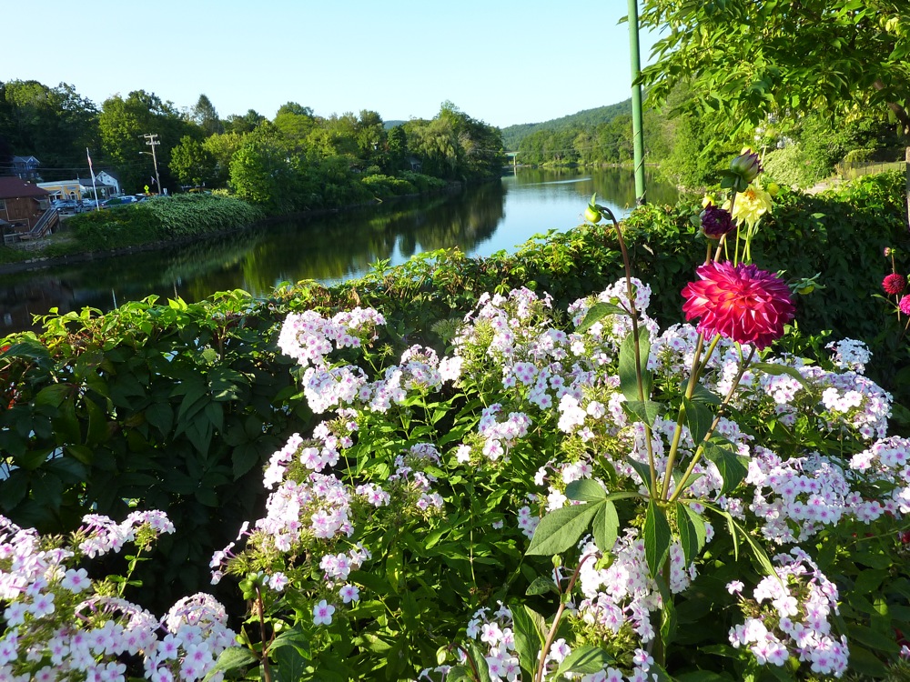 Colorful flower display at The Bridge of Flowers overlooking the Deerfield River in Shelburne Falls, MA.