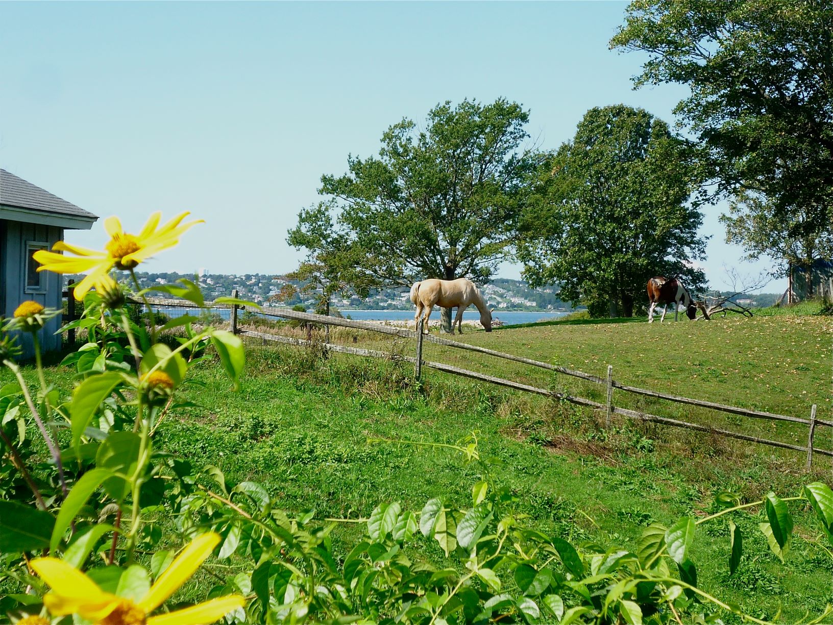 Farmland by the water at the FarmCoast in Tiverton, R.I.