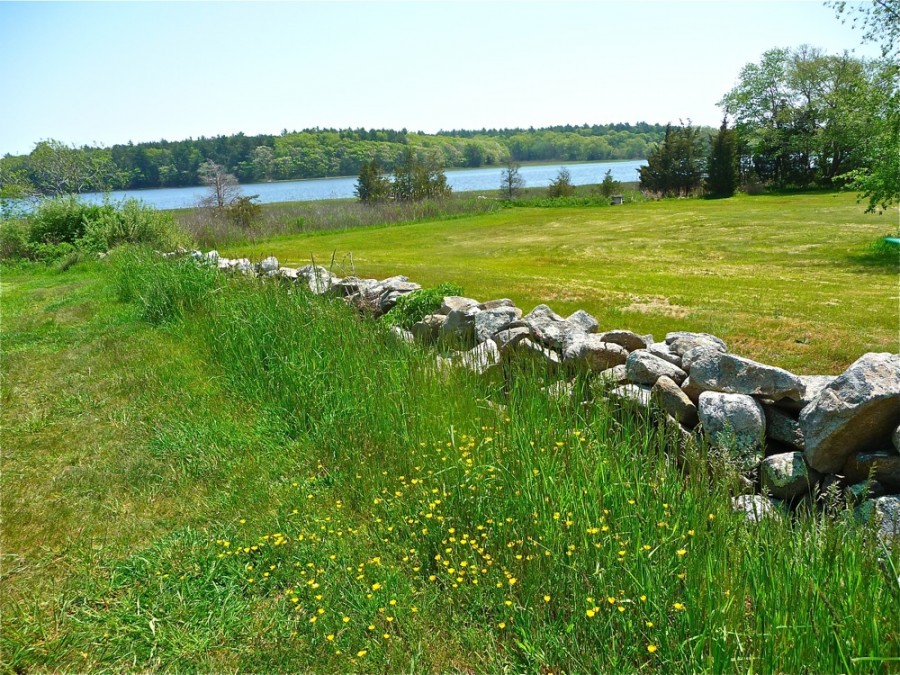 Westport Town Farm in Westport, MA.