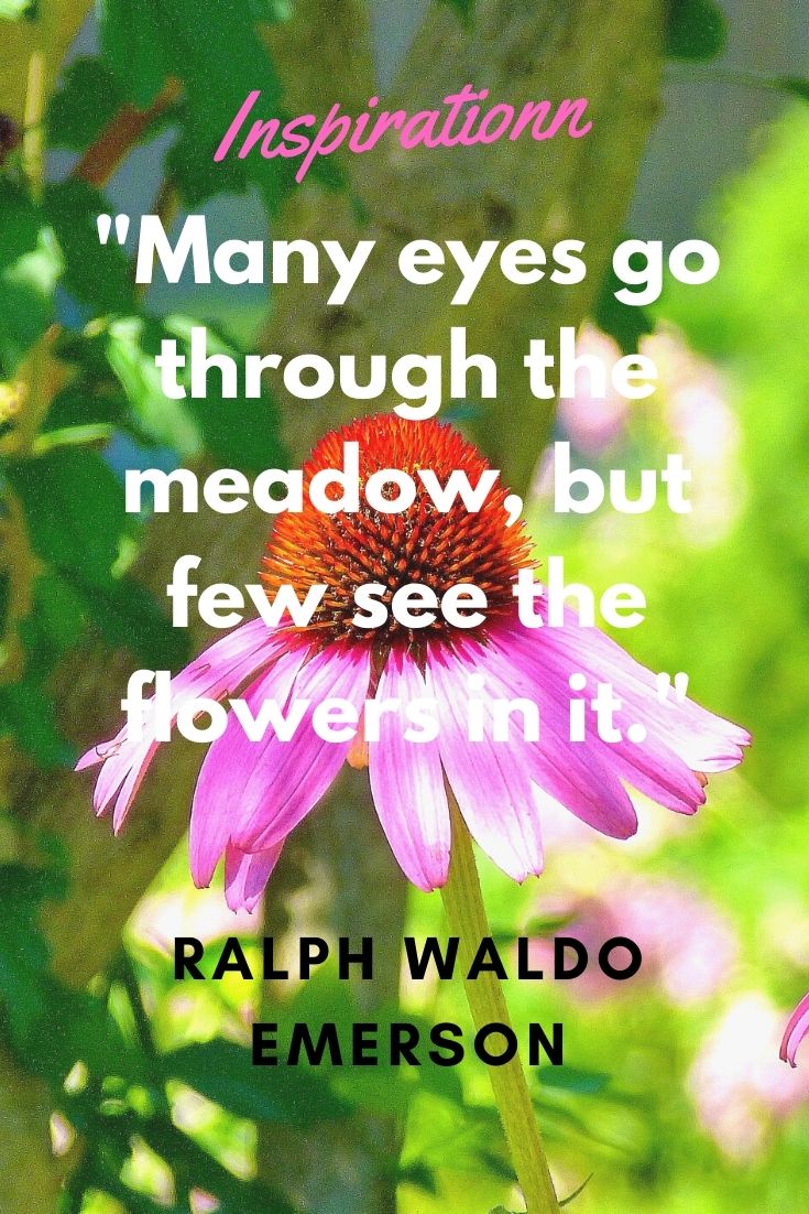 Here are some wise words to follow from Ralph Waldo Emerson...
