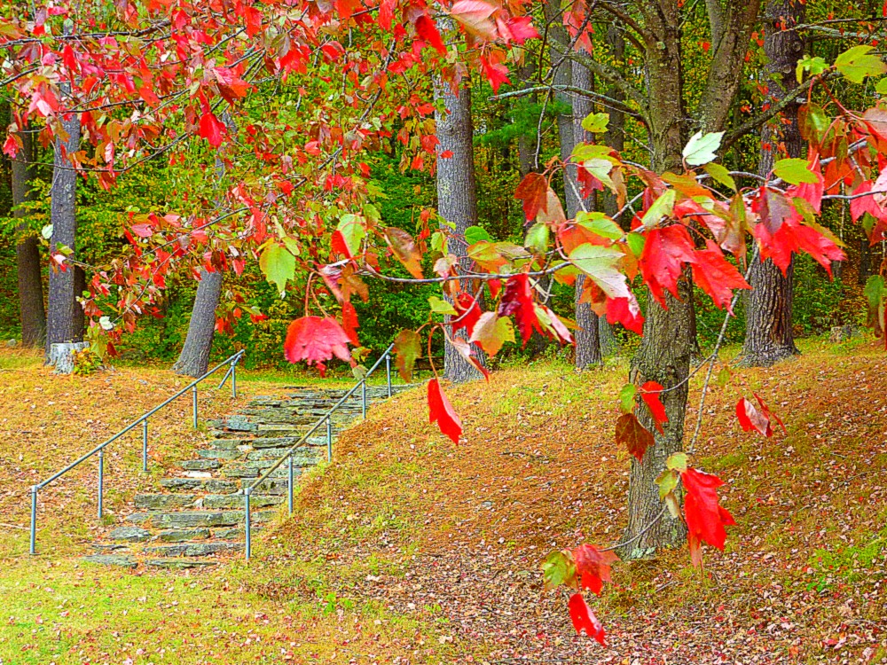 Colorful leaves by stairs at Silver Lake State Park in Hollis, N.H/
