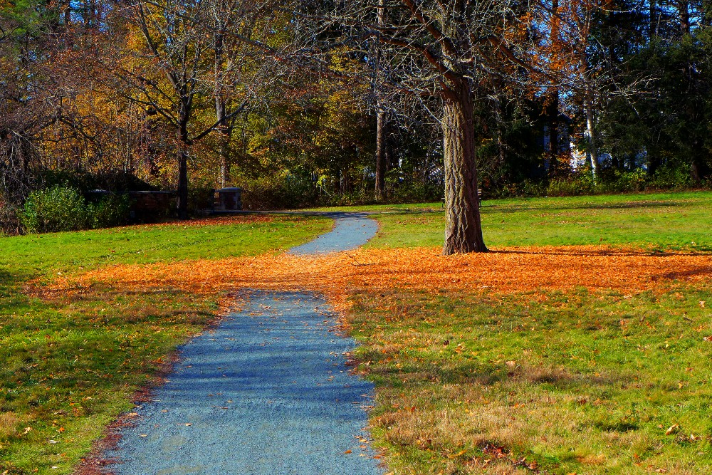 New England fall colors at Bird Park in East Walpole, Mass.