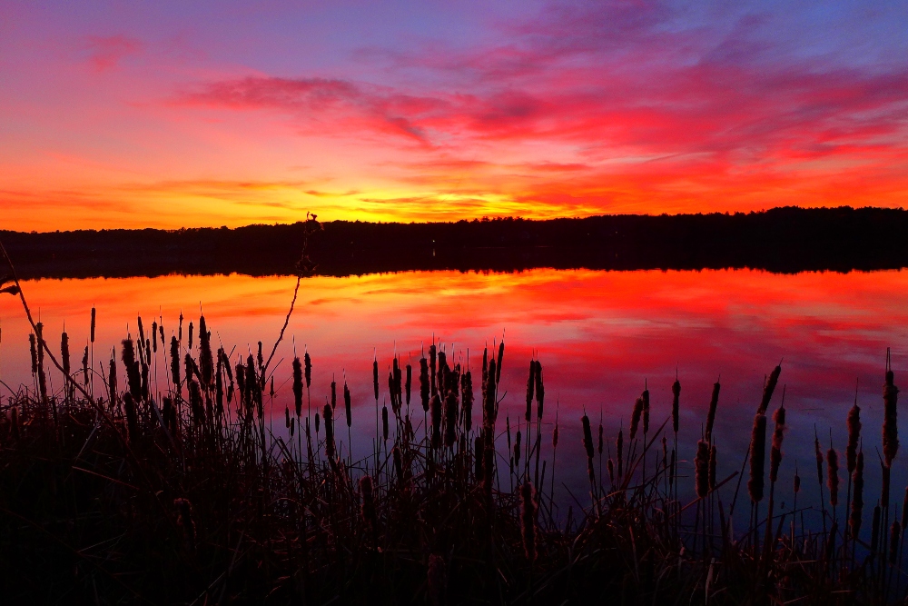 November sunset at Willett Pond in Walpole and Norwood, MA.