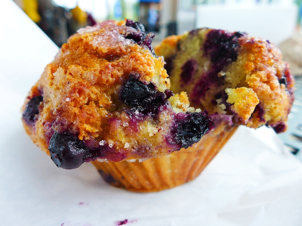 Blueberry muffin from the Muffin House Cafe in Islington, MA.