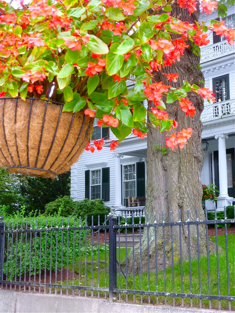 Flower basket and historic home in downtown Bristol, R.I.