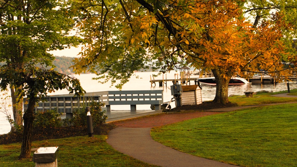 Enjoying Hesky Park in Meredith, N.H.