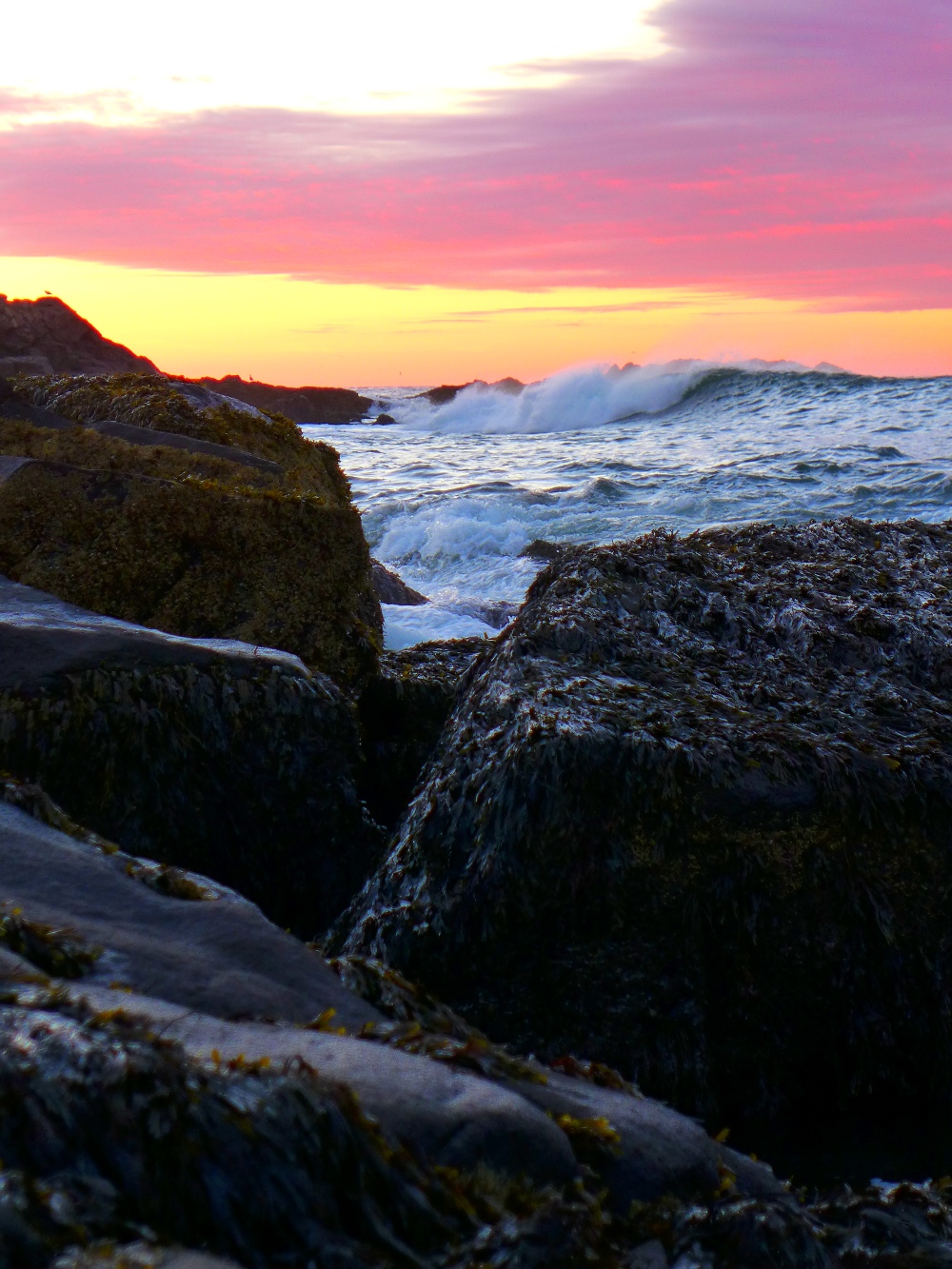 Waves at York Beach, Maine.