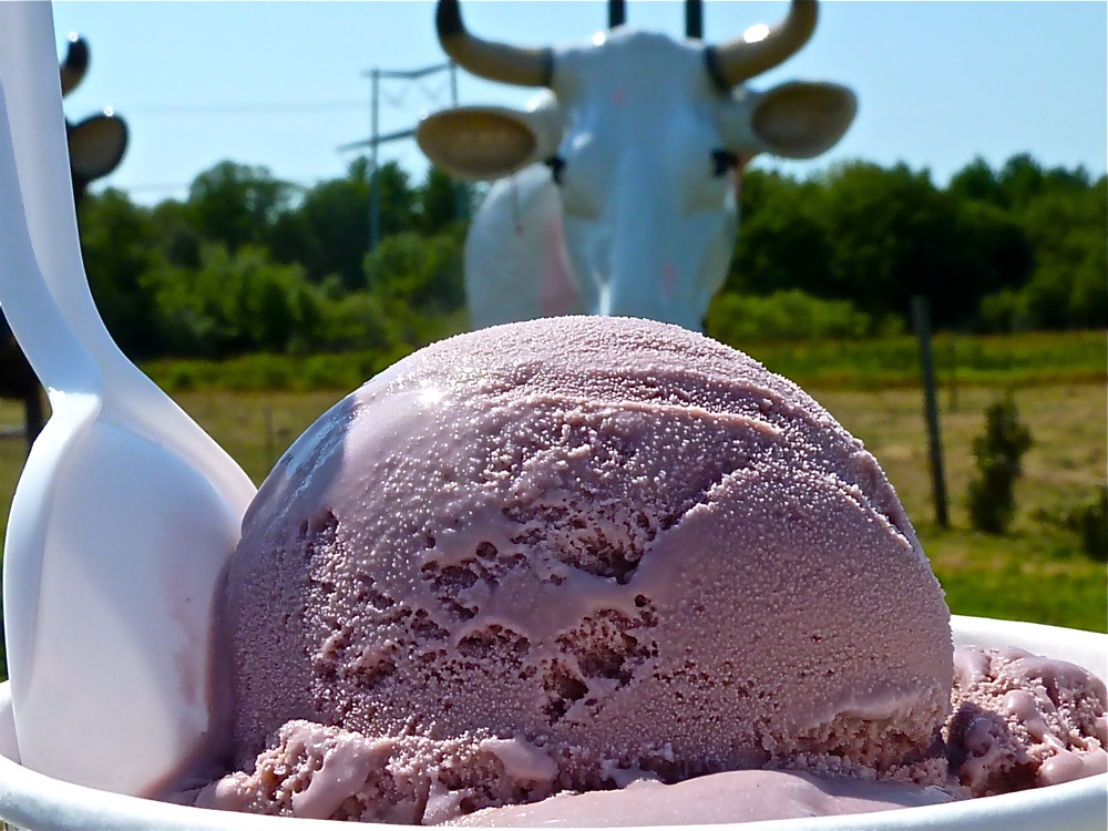 Peaceful Meadows black raspberry ice cream, Whitman, Mass.