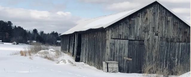 The barn in Hadley, Mass, where Mark McAuliffe traveled to for repurposed wood to be used at his restaurant, Tessie's Bar & Kitchen in Walpole, Mass.
