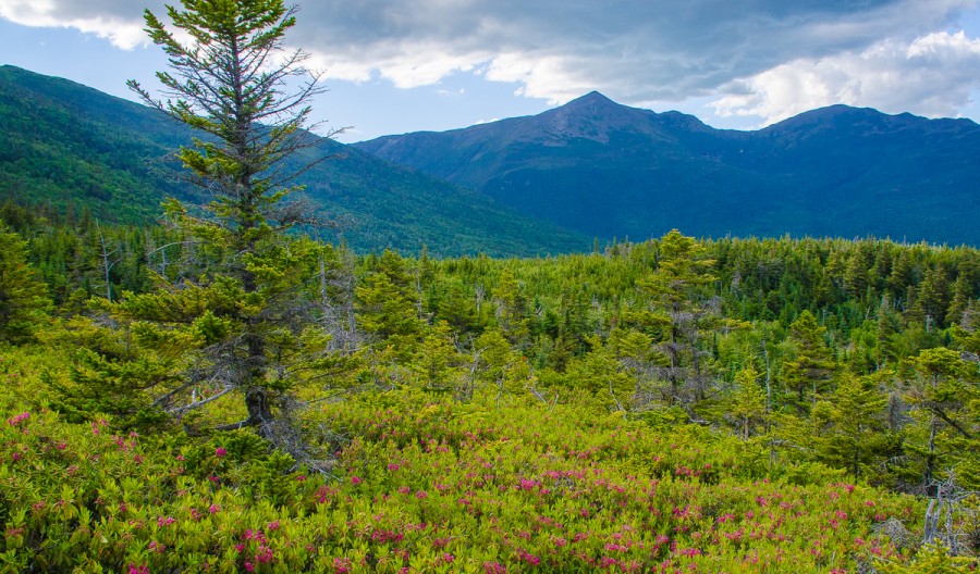 Scenic Drives and Overlooks in New Hampshire's Mt. Washington Valley
