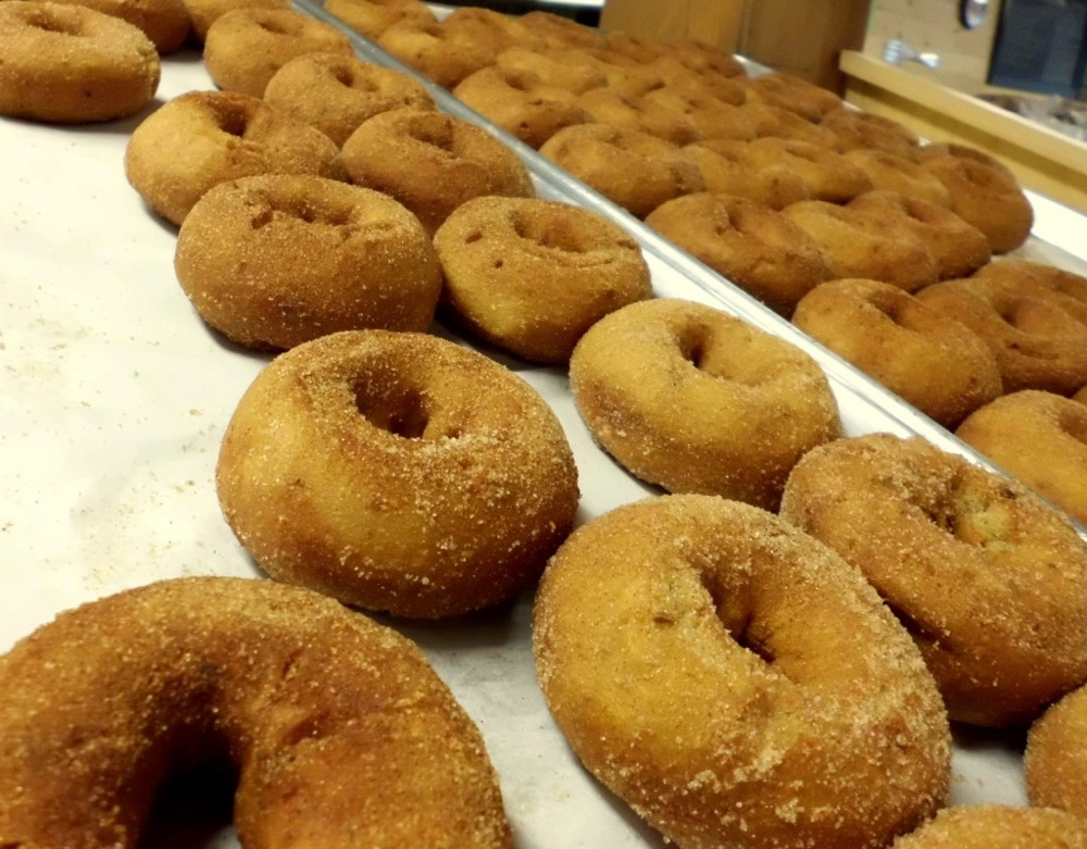 The best apple cider doughnuts we have found in New England: Volante Farms in Needham, Mass.