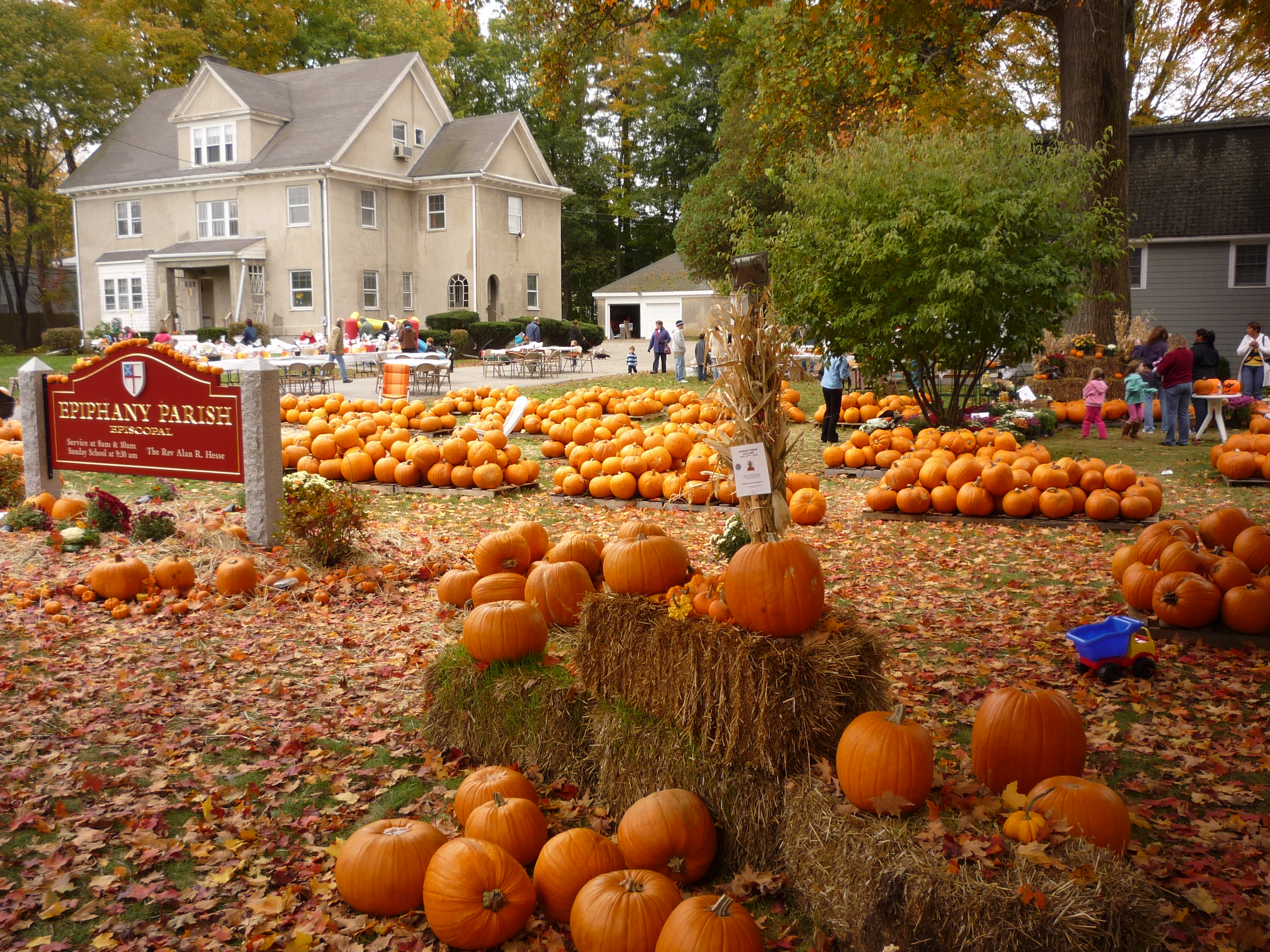 Image of Epiphany Parish Pumpkin Patch, Walpole MA