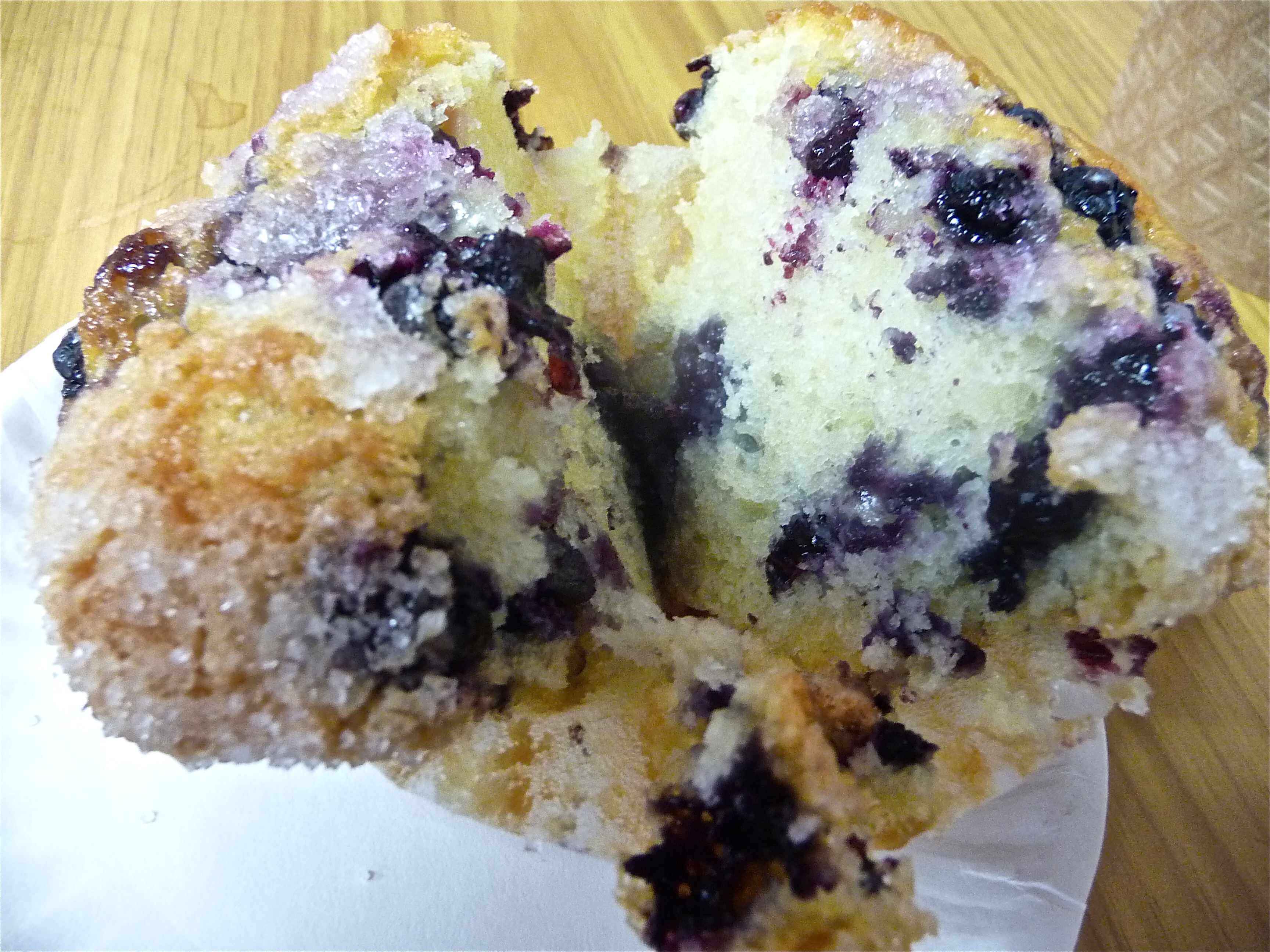 Blueberry muffin from the Muffin House in Medway MA