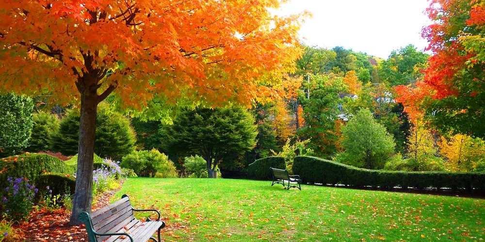 Peace and quiet in downtown Peterborough, New Hampshire...