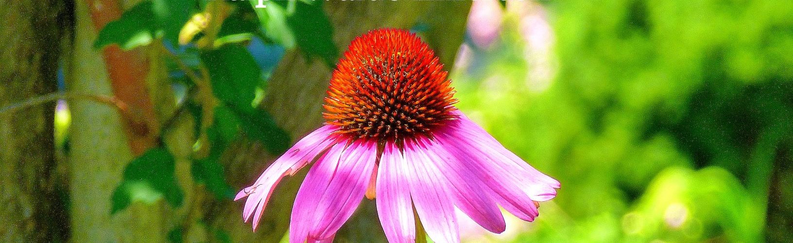 Why it's so important to slow down.