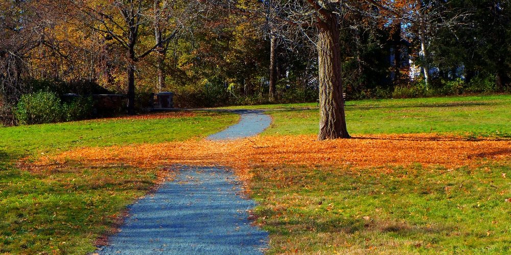 Fall colors in New England at Bird Park in East Walpole, Mass.
