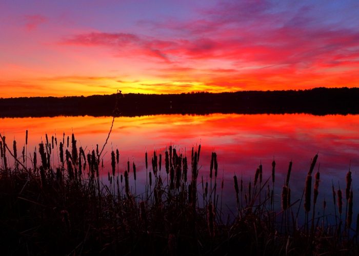 Sunset at Willett Pond in Walpole and Norwood, MA.