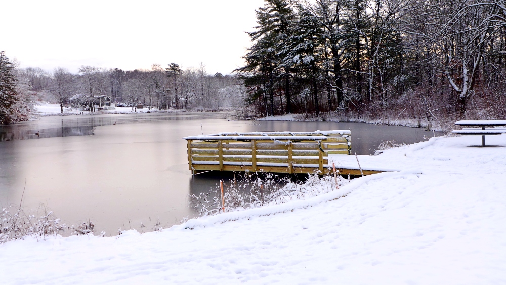 Viewing dock at Memorial Pond in Walpole, MA.